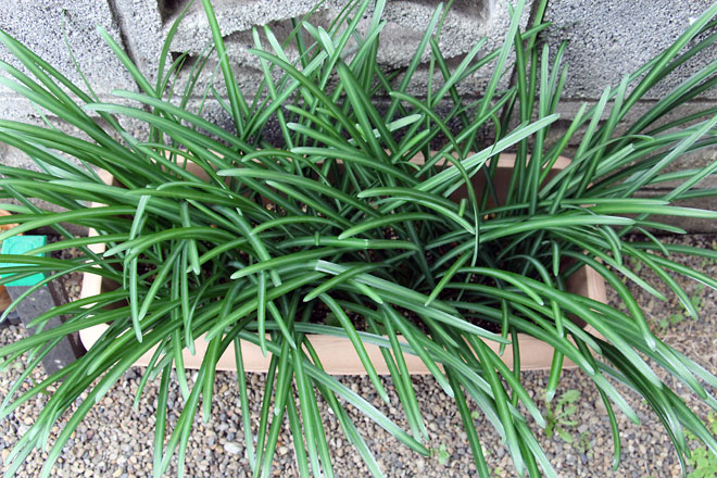 f:id:takahikonojima:20191221160320j:plain