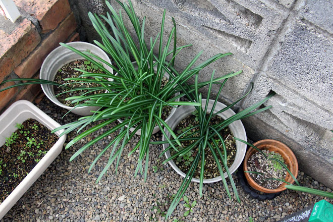 f:id:takahikonojima:20191221160327j:plain