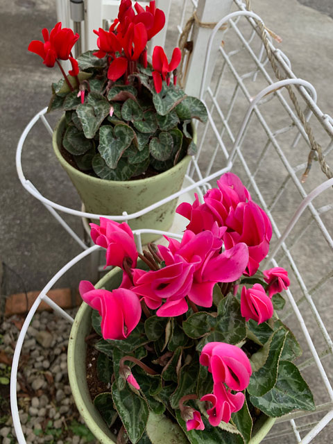 f:id:takahikonojima:20191221185759j:plain