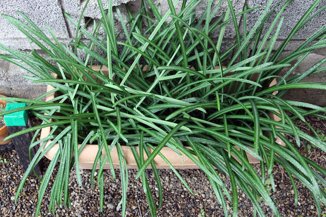 f:id:takahikonojima:20200104183748j:plain