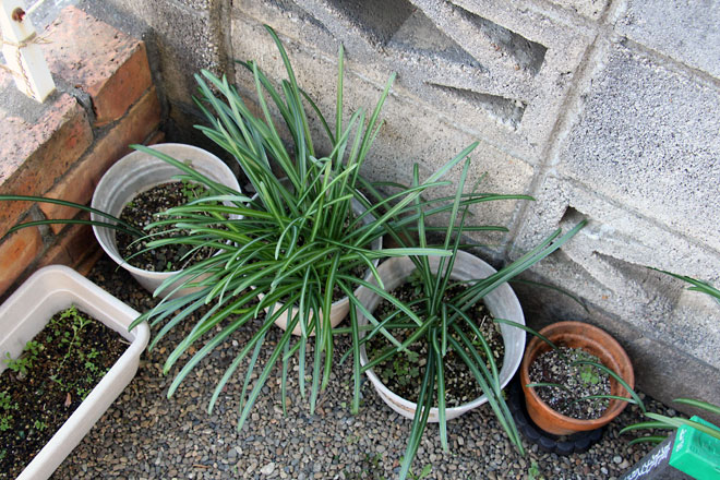 f:id:takahikonojima:20200104183811j:plain