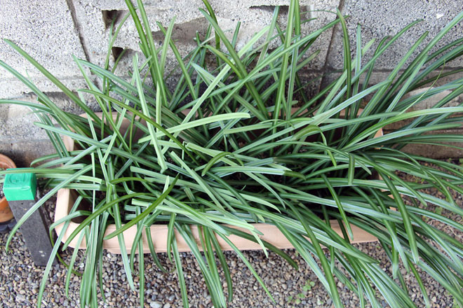 f:id:takahikonojima:20200104183817j:plain