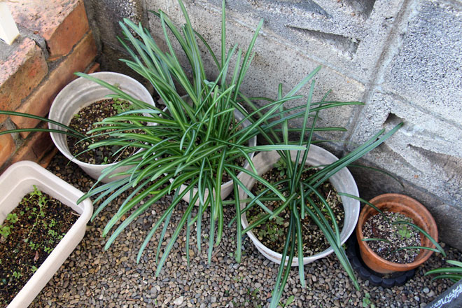 f:id:takahikonojima:20200104183824j:plain