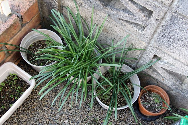 f:id:takahikonojima:20200104183836j:plain