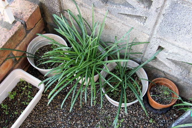 f:id:takahikonojima:20200111100434j:plain