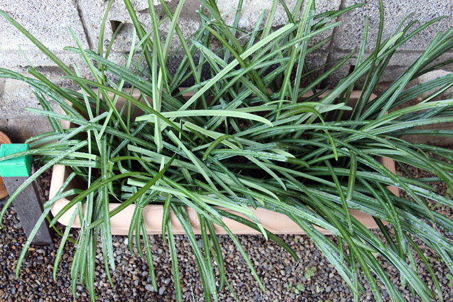 f:id:takahikonojima:20200111100442j:plain