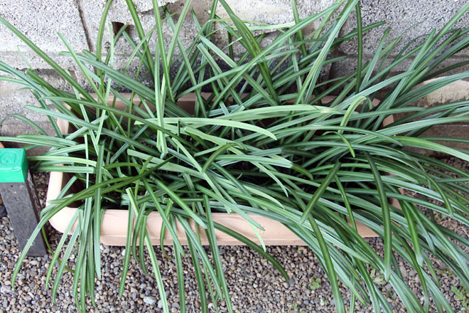 f:id:takahikonojima:20200111100454j:plain