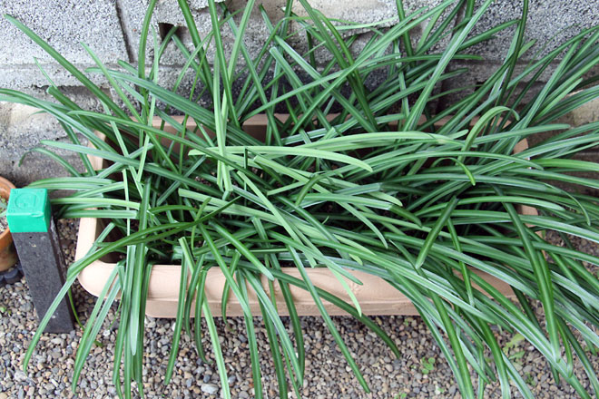 f:id:takahikonojima:20200111100504j:plain