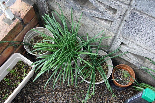 f:id:takahikonojima:20200111100510j:plain