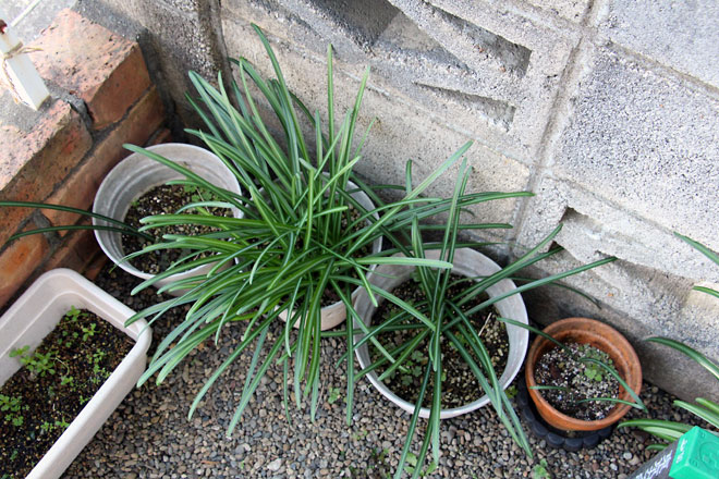 f:id:takahikonojima:20200111100540j:plain