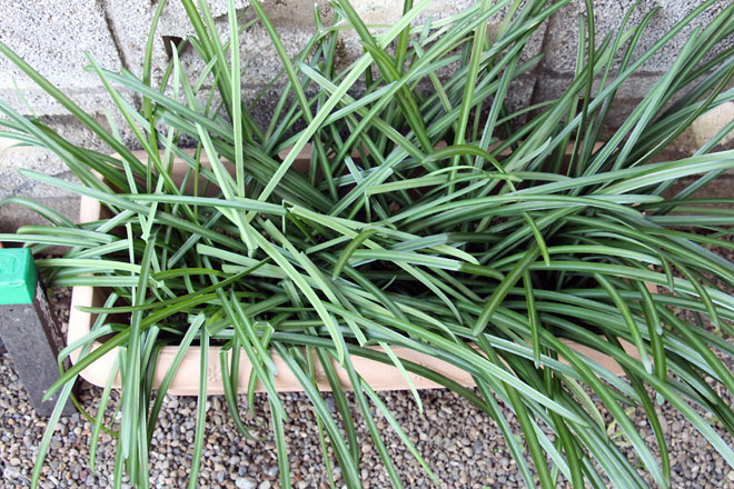 f:id:takahikonojima:20200111100547j:plain