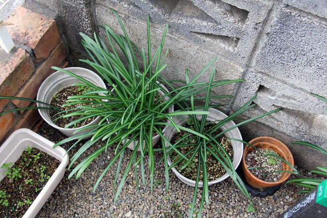 f:id:takahikonojima:20200111100553j:plain