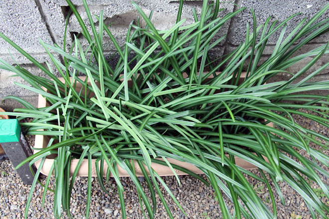 f:id:takahikonojima:20200111100559j:plain