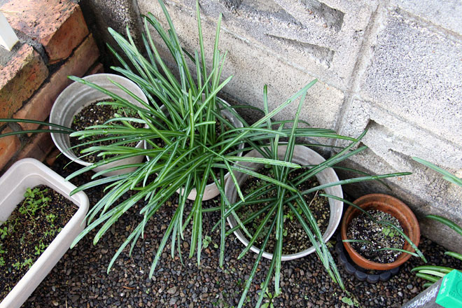 f:id:takahikonojima:20200125122322j:plain