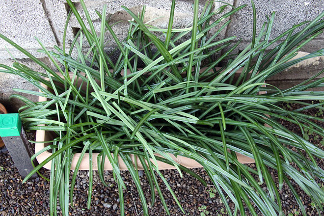 f:id:takahikonojima:20200125122327j:plain