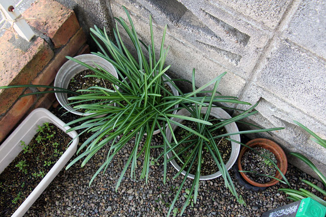 f:id:takahikonojima:20200125122333j:plain