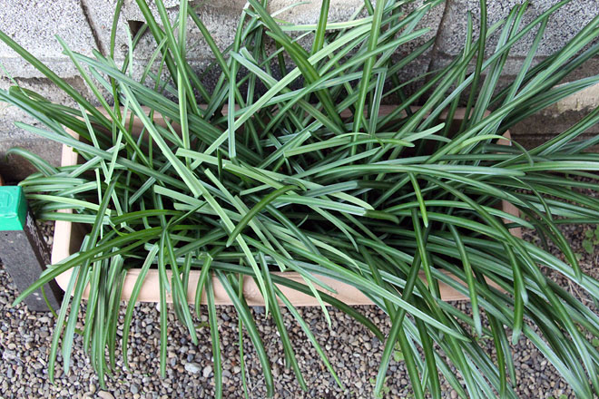 f:id:takahikonojima:20200125122349j:plain