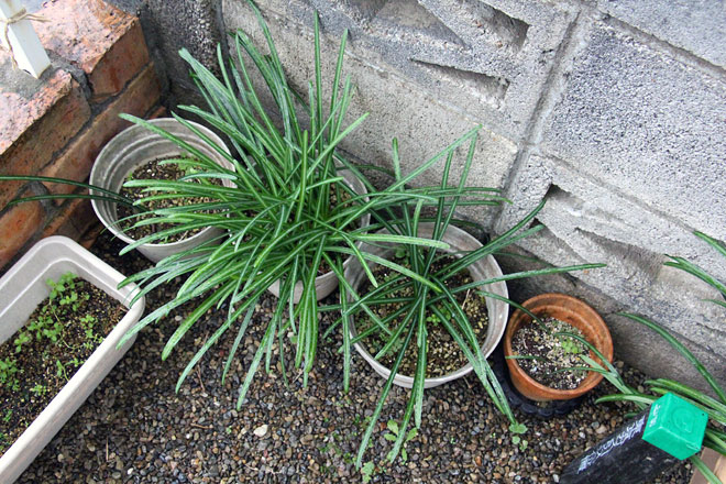 f:id:takahikonojima:20200125122406j:plain