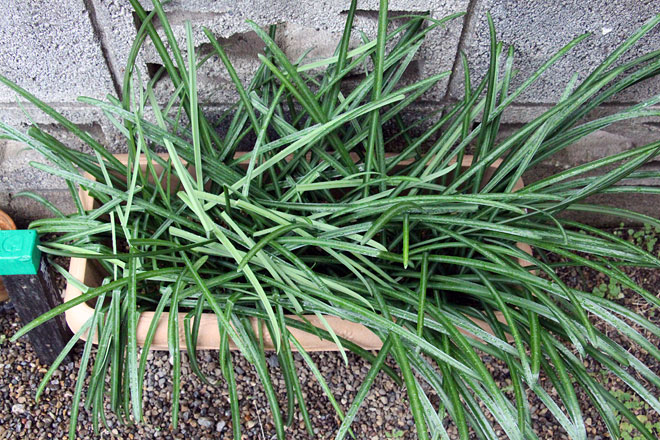 f:id:takahikonojima:20200125122413j:plain