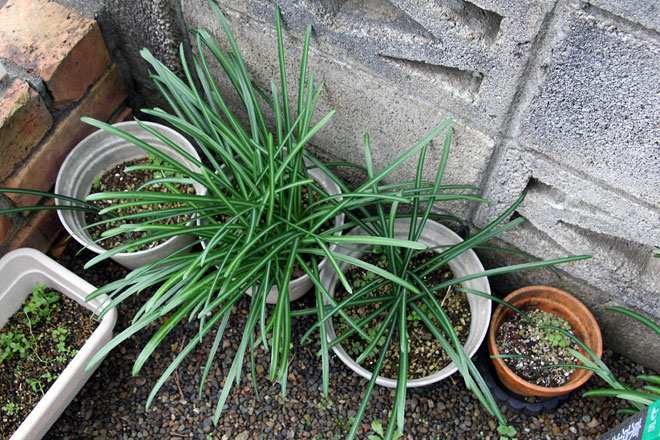 f:id:takahikonojima:20200125122419j:plain