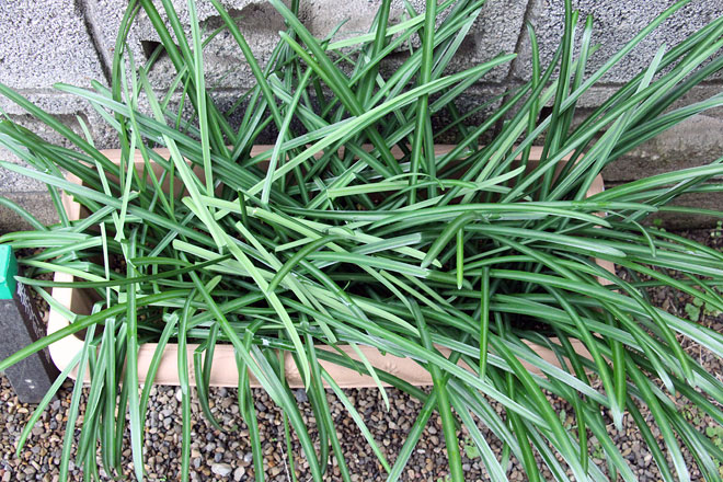 f:id:takahikonojima:20200125122424j:plain