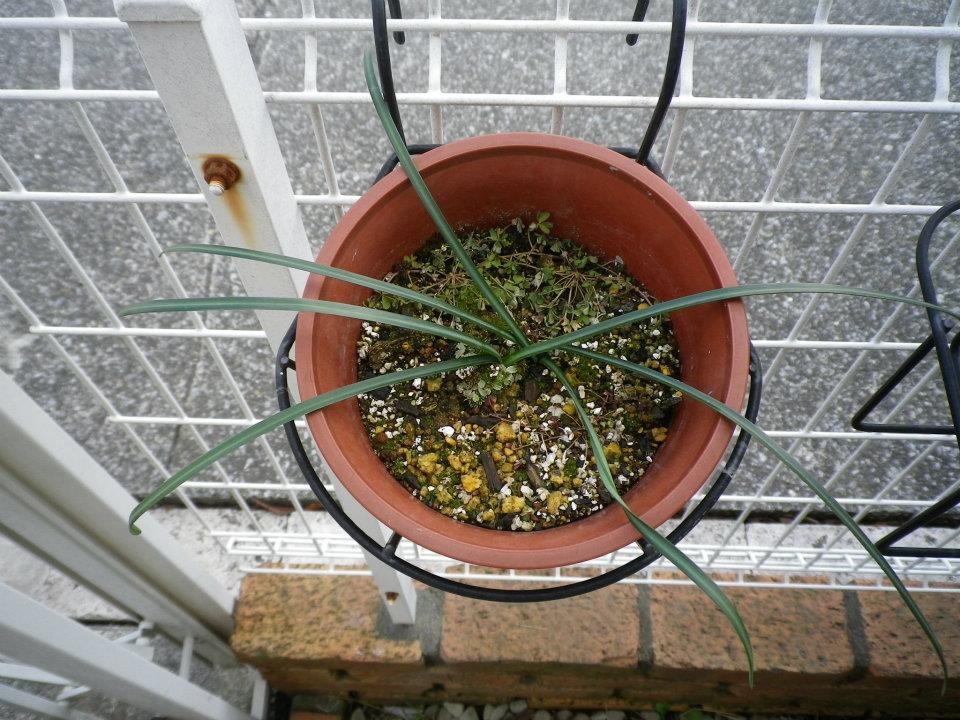 f:id:takahikonojima:20200128141615j:plain