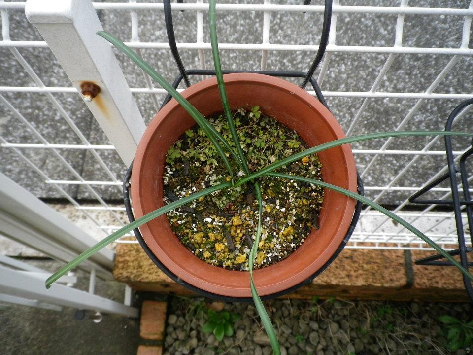 f:id:takahikonojima:20200128141628j:plain