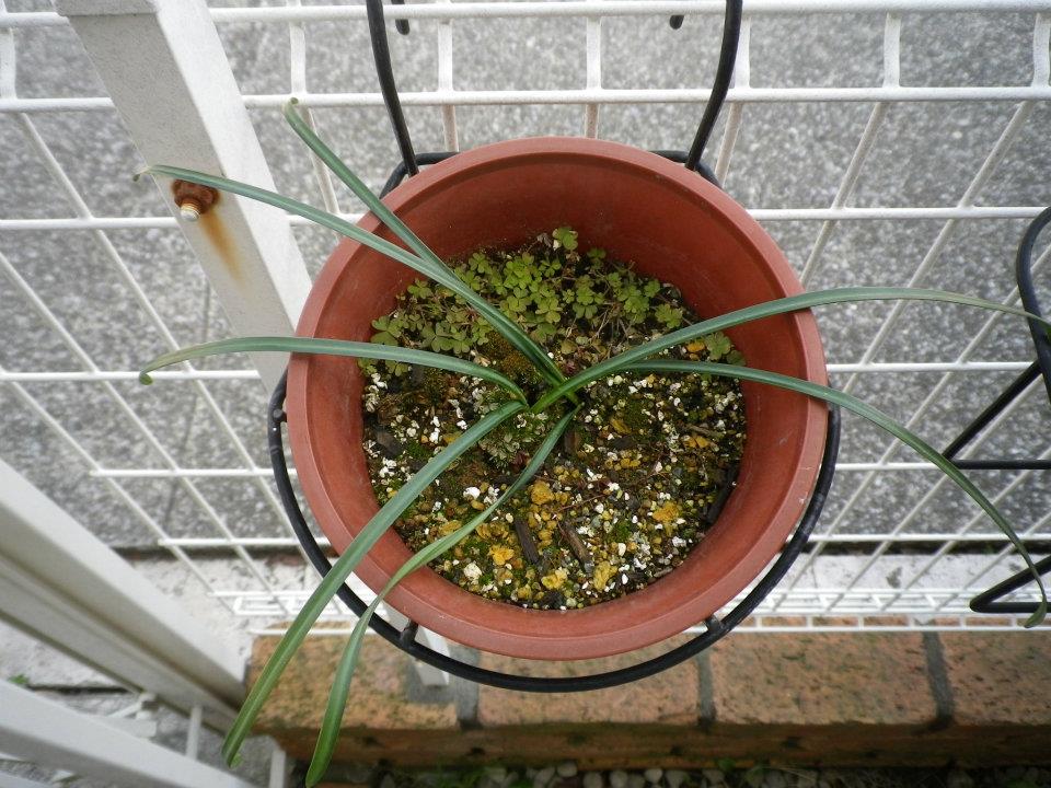 f:id:takahikonojima:20200128141648j:plain