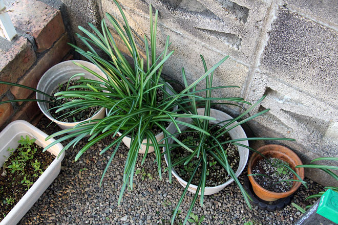 f:id:takahikonojima:20200208091949j:plain