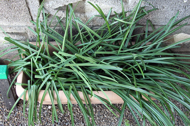 f:id:takahikonojima:20200208091955j:plain