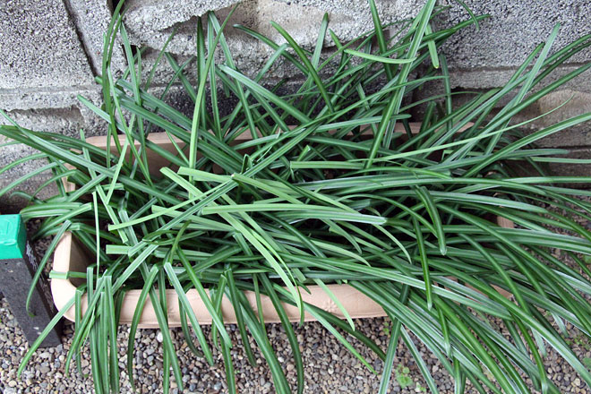 f:id:takahikonojima:20200208092009j:plain