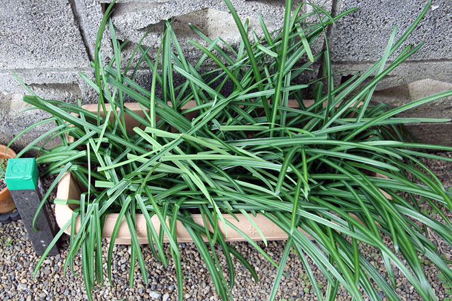 f:id:takahikonojima:20200208092019j:plain