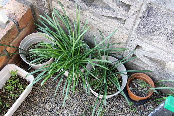 f:id:takahikonojima:20200208092024j:plain