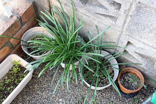 f:id:takahikonojima:20200208092035j:plain