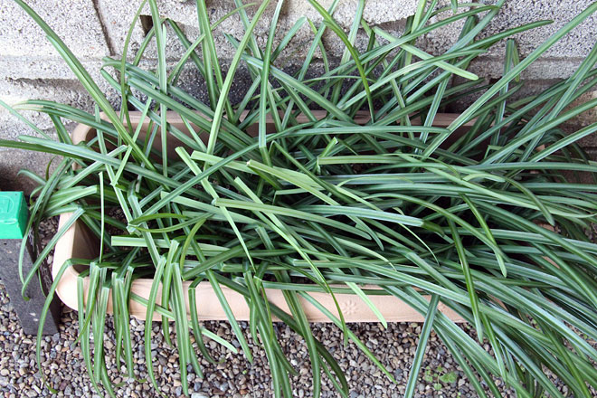 f:id:takahikonojima:20200208092044j:plain