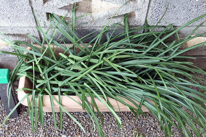 f:id:takahikonojima:20200208092056j:plain