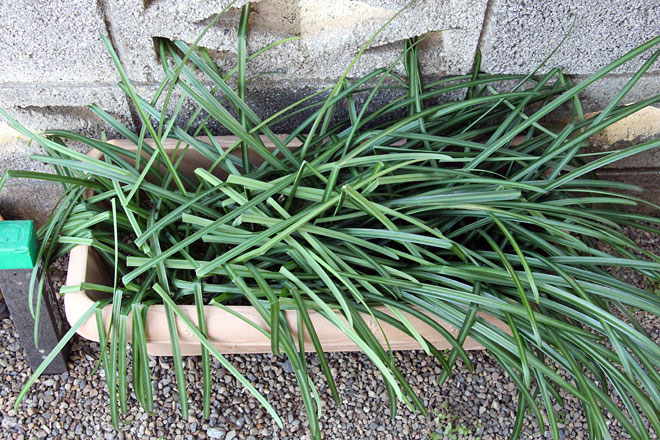 f:id:takahikonojima:20200208092109j:plain