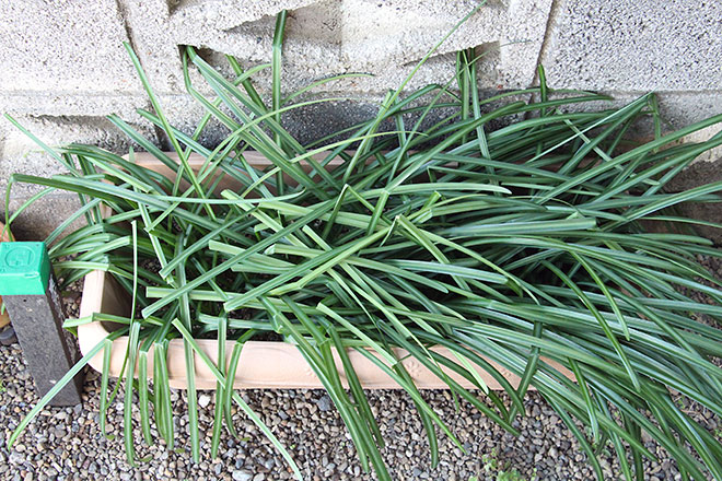 f:id:takahikonojima:20200217154402j:plain