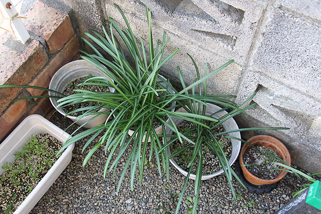 f:id:takahikonojima:20200217154420j:plain