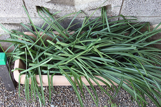 f:id:takahikonojima:20200217154427j:plain