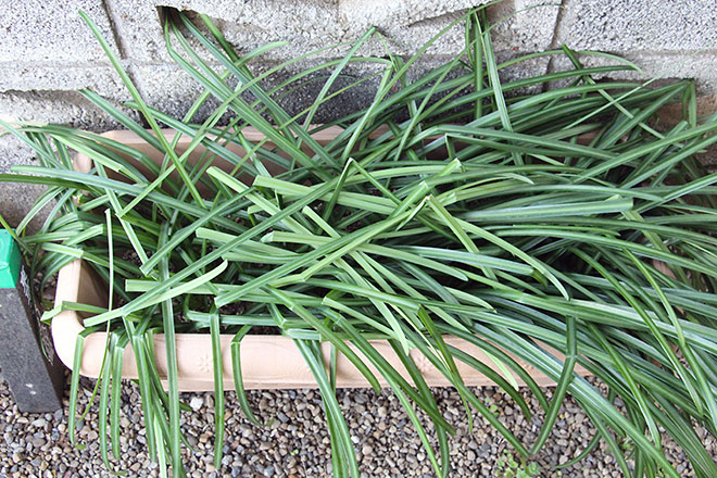 f:id:takahikonojima:20200217154514j:plain