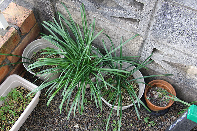 f:id:takahikonojima:20200217154521j:plain