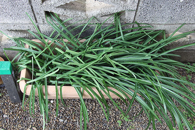 f:id:takahikonojima:20200217154526j:plain