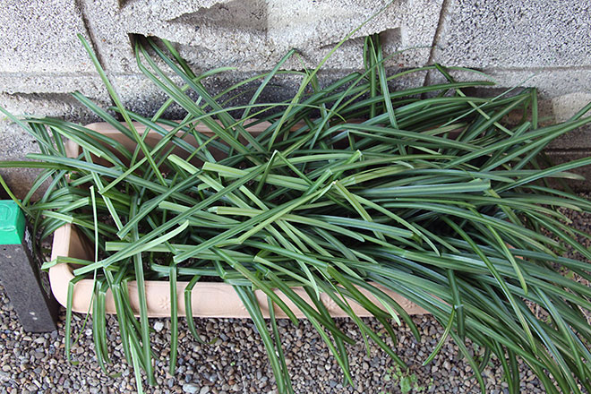 f:id:takahikonojima:20200217154933j:plain