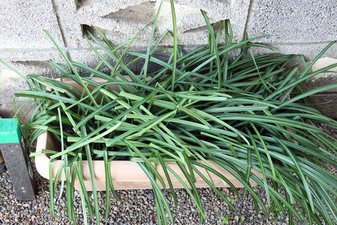 f:id:takahikonojima:20200303104911j:plain