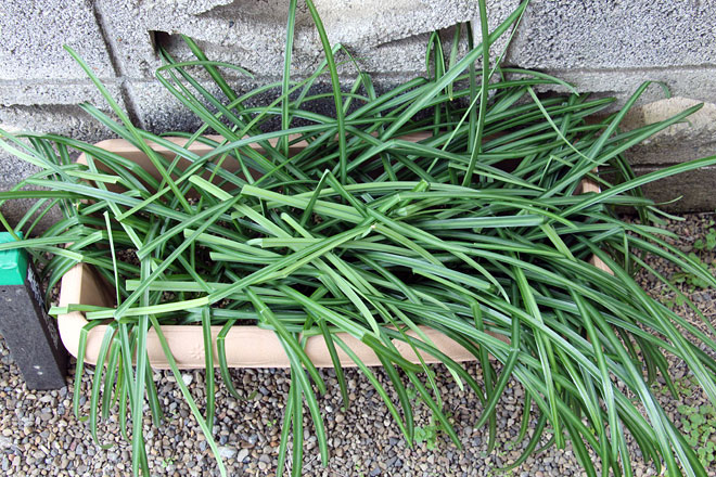 f:id:takahikonojima:20200303104934j:plain