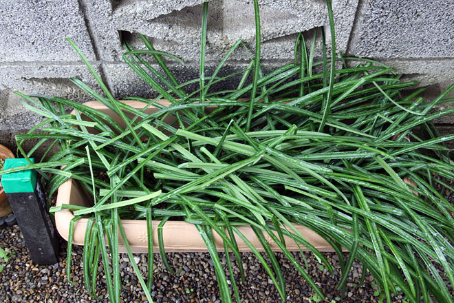 f:id:takahikonojima:20200303104945j:plain