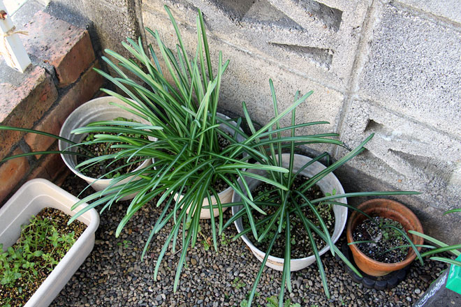 f:id:takahikonojima:20200303104950j:plain