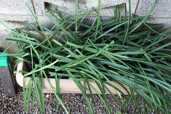 f:id:takahikonojima:20200303104955j:plain