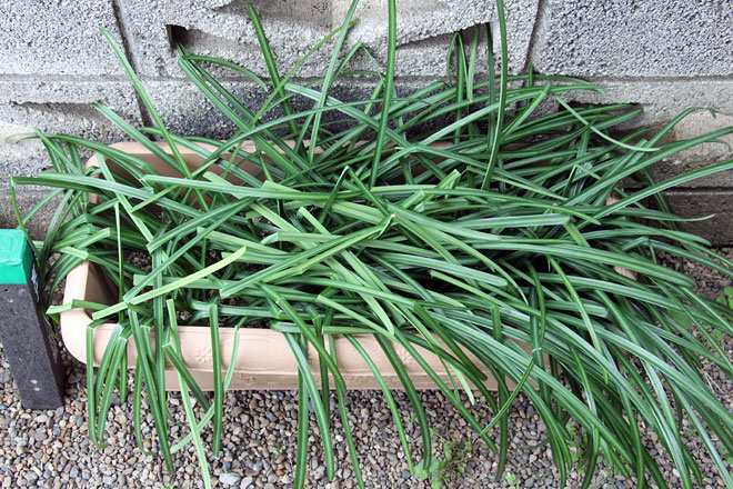 f:id:takahikonojima:20200303105018j:plain